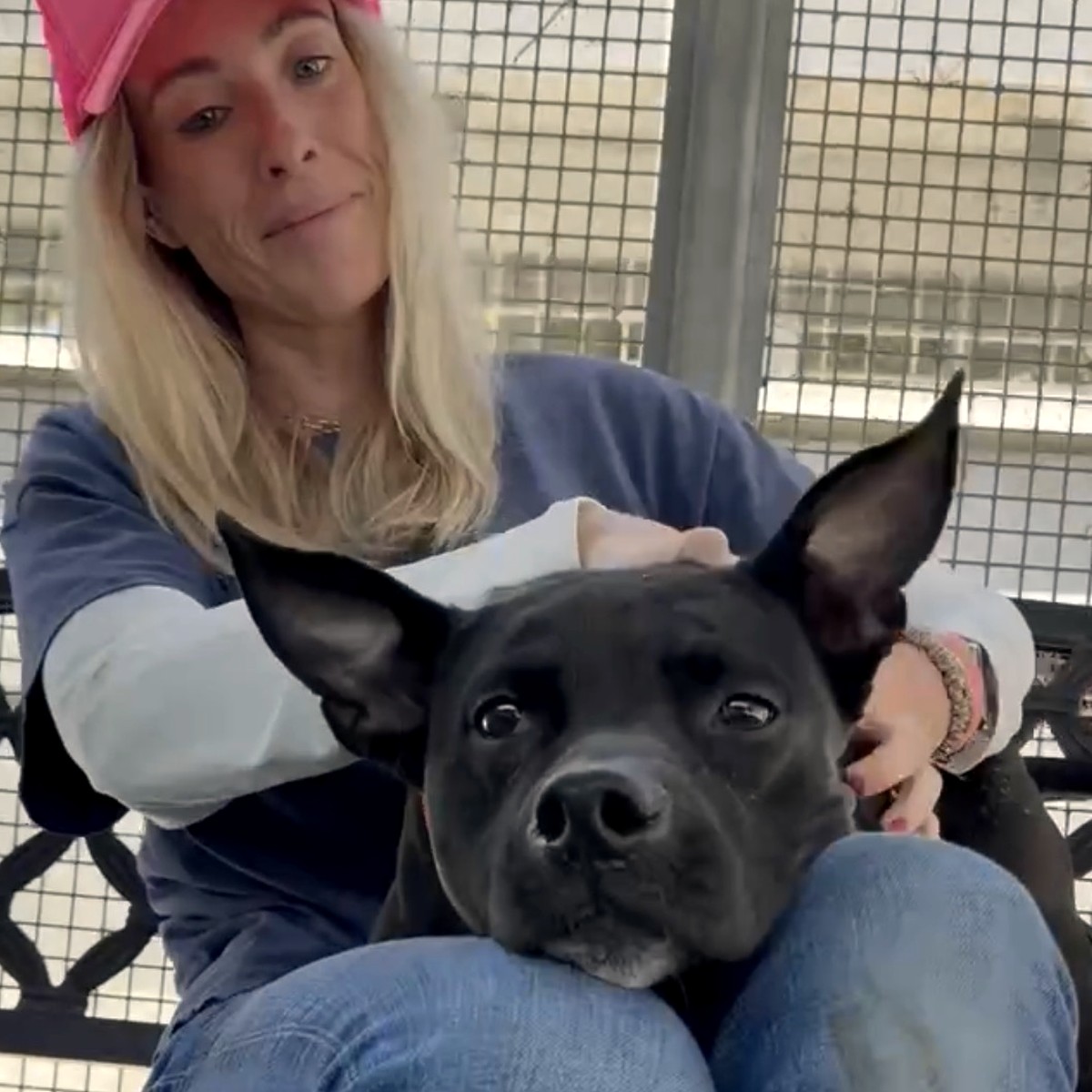Onyx, photographed at South L.A. Animal Shelter in May 2026.