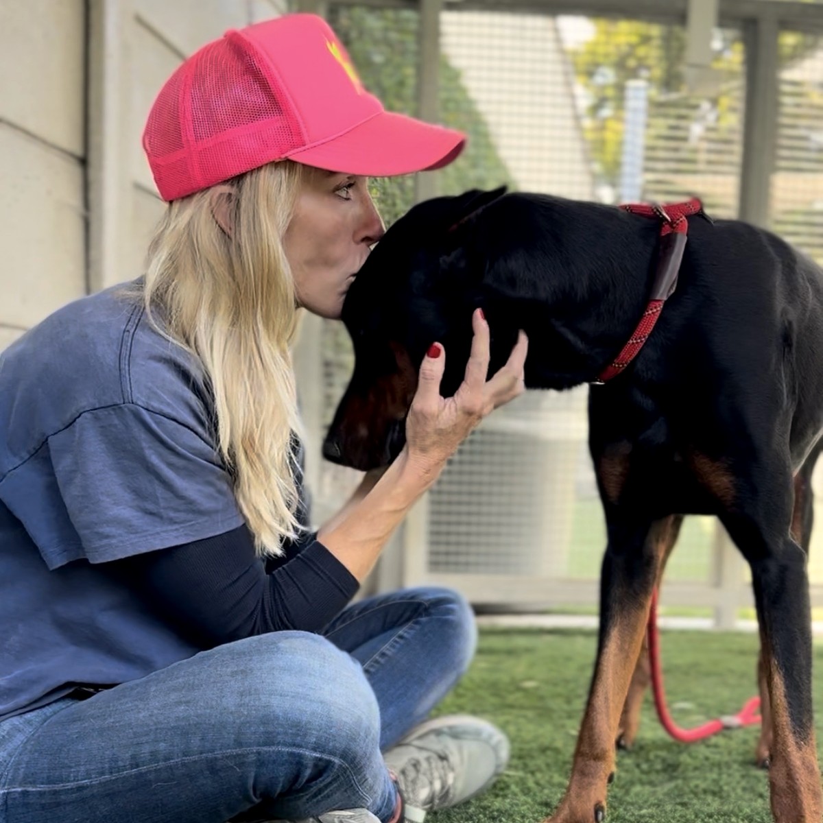 Zeus, a Doberman, photographed at South L.A. Animal Shelter in April 2026.